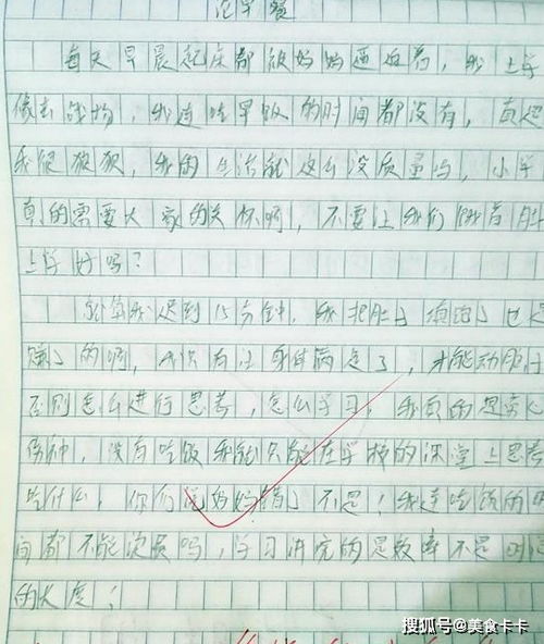 作文,追趕,開(kāi)頭,偶像