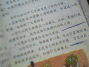 有關(guān)于父母之愛(ài)的作文開(kāi)頭