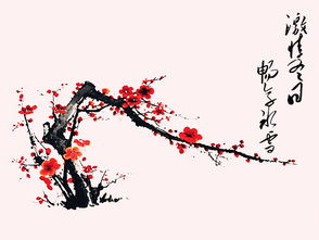 中午陽(yáng)光作文開(kāi)頭