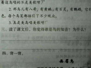 鳥(niǎo)的知音作文開(kāi)頭