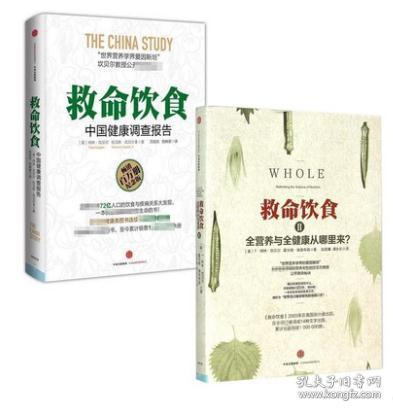 飲食文化研究性調查報告(研究性調查報告)
