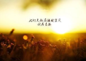 關(guān)于工作的勵志語(yǔ)錄(關(guān)于工作的勵志語(yǔ)錄)