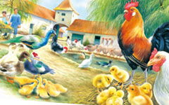 我對動(dòng)物的啟示的作文開(kāi)頭