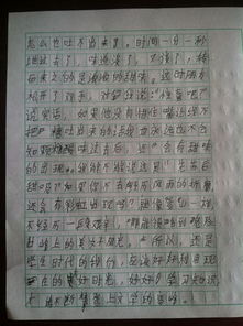 表演先苦后甜的作文開(kāi)頭