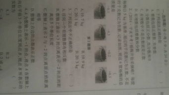 家鄉的秋天這個(gè)作文的開(kāi)頭