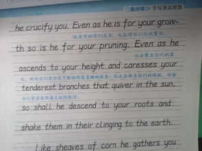 英語(yǔ)作文開(kāi)頭打招呼萬(wàn)能句子,高考英語(yǔ)作文開(kāi)頭萬(wàn)能句子,高考英語(yǔ)作文萬(wàn)能句子開(kāi)頭和結尾