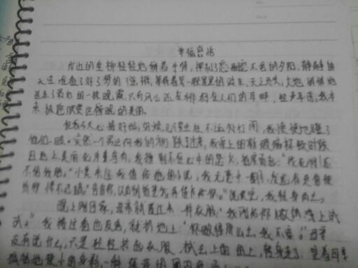 描寫(xiě)真實(shí)情感的作文怎么寫(xiě),關(guān)于情感的開(kāi)頭和結尾作文怎么寫(xiě),情感的作文怎么寫(xiě)