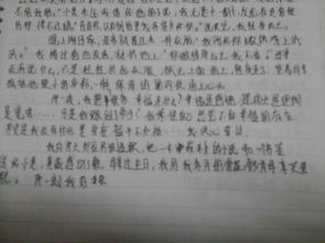 作文,開(kāi)頭,真實(shí),情感