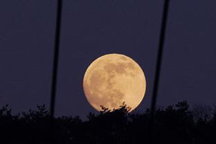 中秋節作文600字大全開(kāi)頭