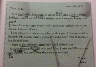 假如讓我來(lái)模仿作文開(kāi)頭