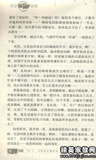 關(guān)于校運會(huì )好作文開(kāi)頭