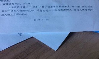 她著(zhù)急了作文600字五級開(kāi)頭