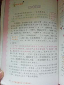 以我的理想為題寫(xiě)作文開(kāi)頭