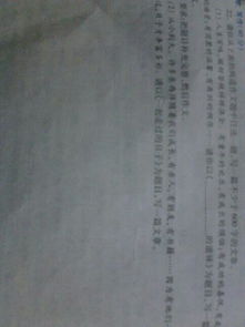 以什么的滋味開(kāi)頭的作文600字