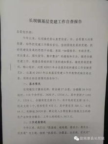 自糾自查報告范文()