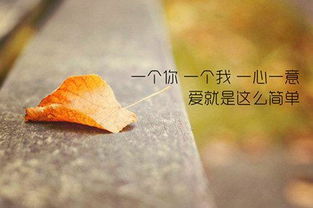 不忘初心,不忘厚愛(ài)愛(ài)情散文(不忘初心愛(ài)情散文)