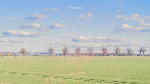 作文開(kāi)頭結尾神仙句子撒野