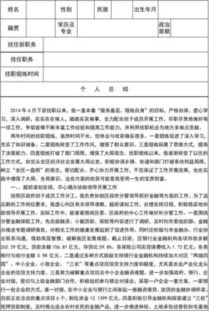 電力企業(yè)干部掛職鍛煉工作總結(團干部掛職鍛煉的工作總結)