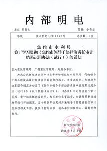 局長(cháng)的經(jīng)濟審計報告范文(教育局原局長(cháng)任期經(jīng)濟責任的審計報告范文)