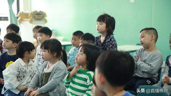 幼兒園規范辦園行為自查報告(幼兒園規范辦園行為自查報告)