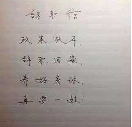 中層領(lǐng)導辭職報告(保險中層領(lǐng)導辭職報告)