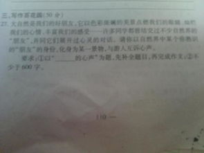 優(yōu)美大自然聲音的作文開(kāi)頭