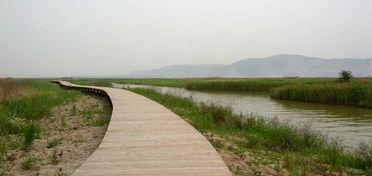 玉環(huán)觀(guān)光園作文的開(kāi)頭