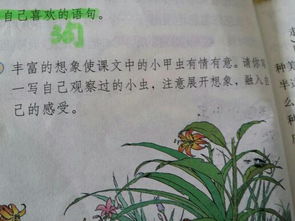 關(guān)于小蟲(chóng)子的作文開(kāi)頭