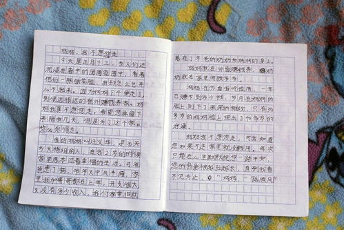 關(guān)于春節的作文的開(kāi)頭怎么寫(xiě)