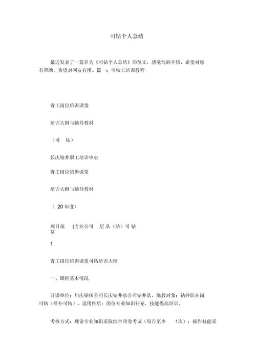 司鉆個(gè)人總結范文(綠鉆吐司怎么做)