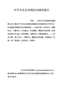 實(shí)踐活動(dòng)報告(實(shí)踐活動(dòng)報告)