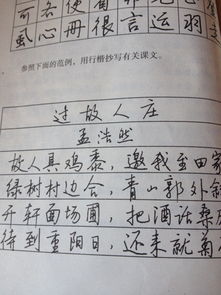 書(shū)法作文開(kāi)頭結尾450字