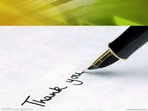 作文我的世界有你而精彩600字作文開(kāi)頭