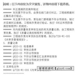 內部質(zhì)量審核總論(內部質(zhì)量審核總論)