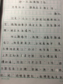 最懂我的那個(gè)人記敘文600字作文開(kāi)頭