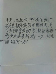 作文,開(kāi)頭,中午,陽(yáng)光