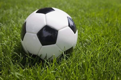 足球賽失敗的感受作文開(kāi)頭