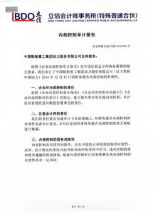 內審審計報告范文(簡(jiǎn)易內審審計報告范文)