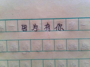 獨一無(wú)二作文開(kāi)頭