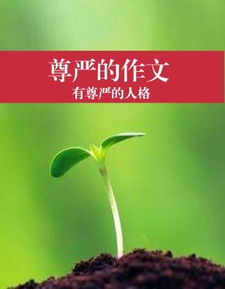 關(guān)于堅持的議論的作文開(kāi)頭