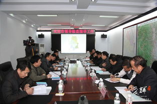 黨建問(wèn)題整改報告(黨建問(wèn)題整改方案)