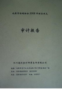 商場(chǎng)審計報告范文(商場(chǎng)審計報告范文)