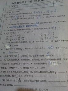 作文幸福六級作文開(kāi)頭