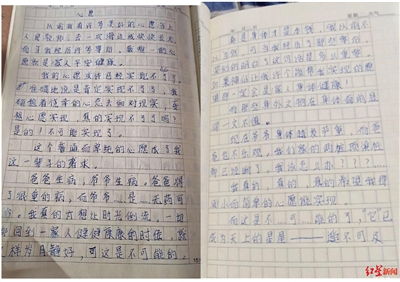 關(guān)于心愿的作文開(kāi)頭,心愿作文開(kāi)頭結尾,心愿作文開(kāi)頭排比句