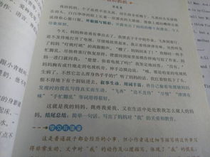 和媽媽散步的作文600字作文開(kāi)頭