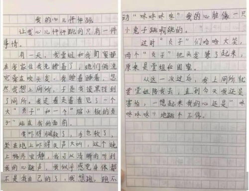 砰砰,心兒,作文,結尾