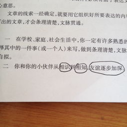 友誼回憶性作文開(kāi)頭