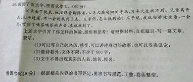 關(guān)于父親的高中作文范文(關(guān)于父親高中作文)