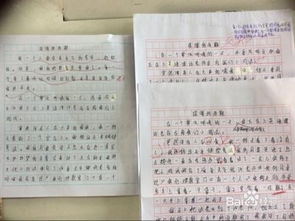 的人,作文,開(kāi)頭,最崇拜