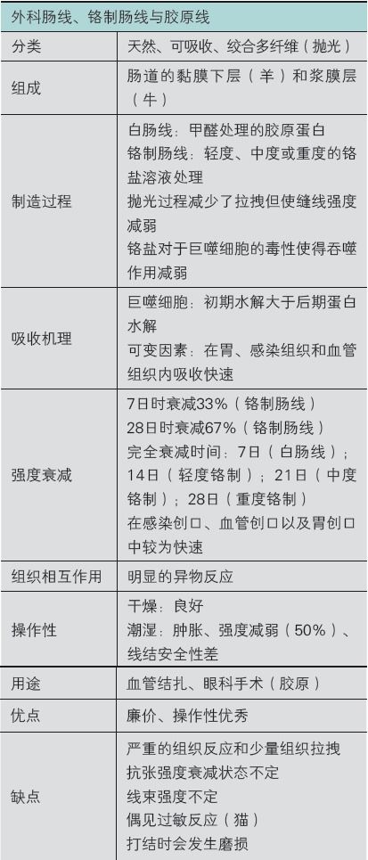 個(gè)人優(yōu)點(diǎn)和缺點(diǎn)總結(個(gè)人總結缺點(diǎn)和不足)